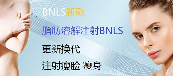 BNLS neo的三大特征
